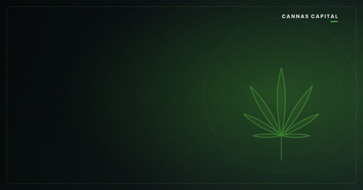 What Insurance Does a Cannabis Dispensary Need? A Complete Guide